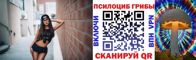 купить закладку  Пролетарск  Псилоцибиновые грибы ЛСД 