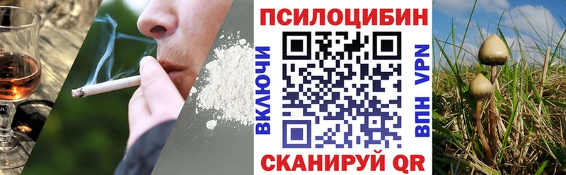 Псилоцибиновые грибы ЛСД Пролетарск
